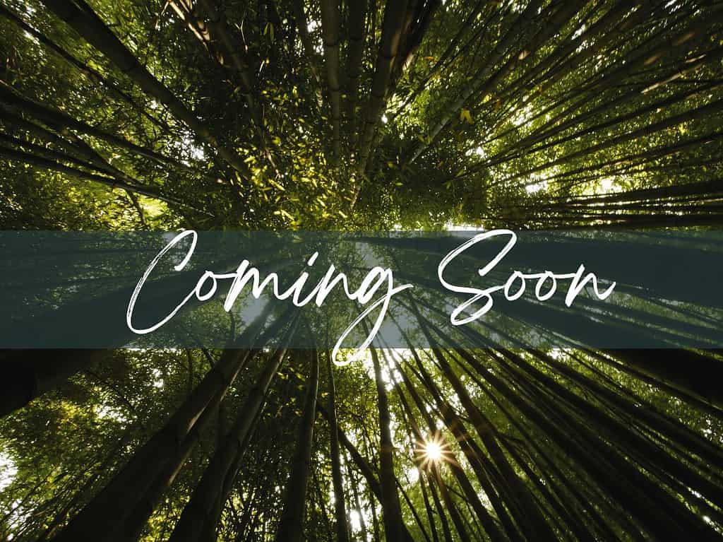 Effortlessly Holistic free wellness resources are coming soon.
